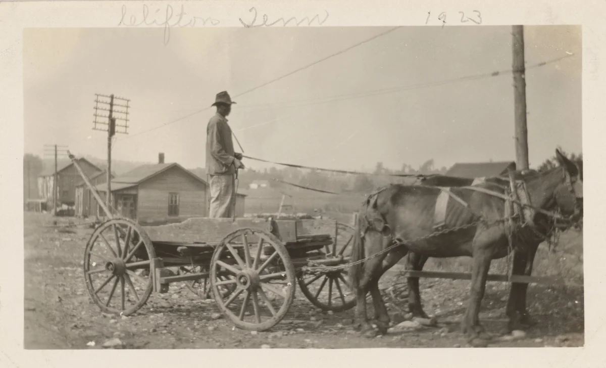 Tennessee by Unidentified Photographer, photograph, 1923