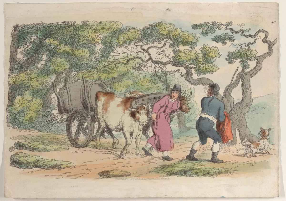 Plate 40, from "World in Miniature" by Thomas Rowlandson, print, 1816