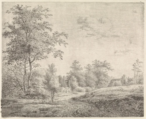 Bosrijk landschap met kronkelende weg by Pieter Janson, print, 1780-1851