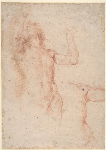 Study of Nude Figure in Front View Looking Upward; Study of Torso and Left Arm by anonymous, drawing, 1600-1700