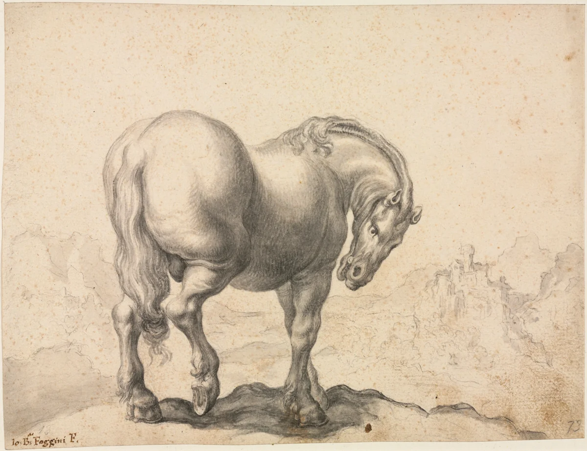 Study of a Stallion by Giovanni Battista Foggini, drawing, 1700-1725
