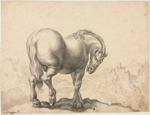 Study of a Stallion by Giovanni Battista Foggini, drawing, 1700-1725
