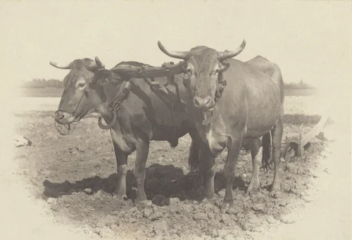 An Idyll by Alfred Stieglitz, photograph, 1887