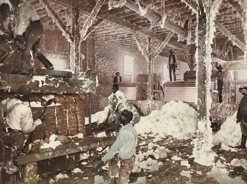 Mississippi Cotton Gin at Dahomey by Detroit Photographic Company, photograph, 1899