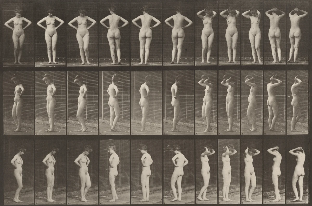 Plate Number 531. Various poses by Eadweard Muybridge, photograph, 1887