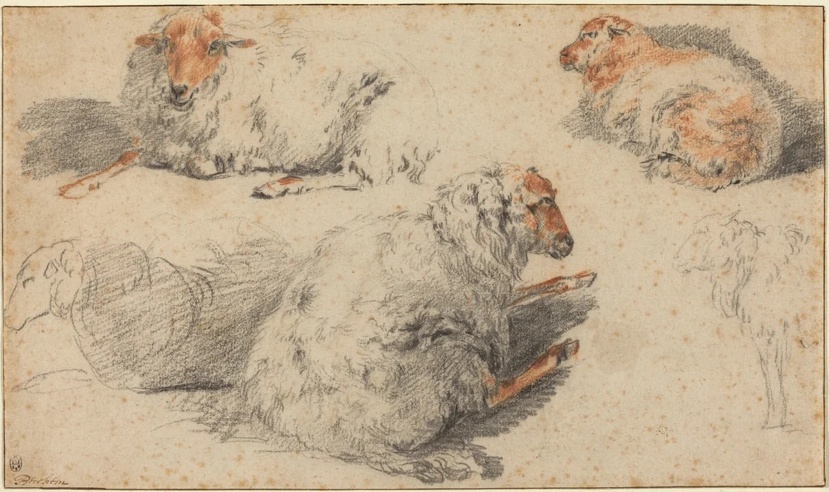 Sheep by Nicolaes Pietersz Berchem, drawing, 1620-1683