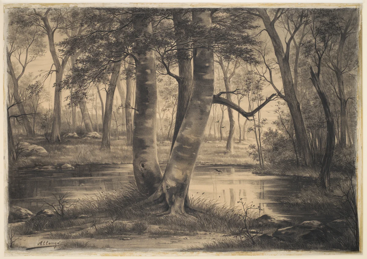 A Pond in the Forest of Fontainebleau by Auguste Allongé, drawing, 1870-1898