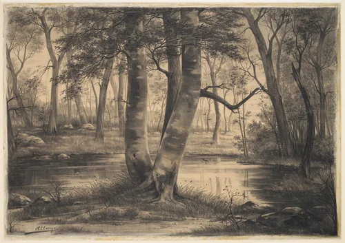 A Pond in the Forest of Fontainebleau by Auguste Allongé, drawing, 1870-1898