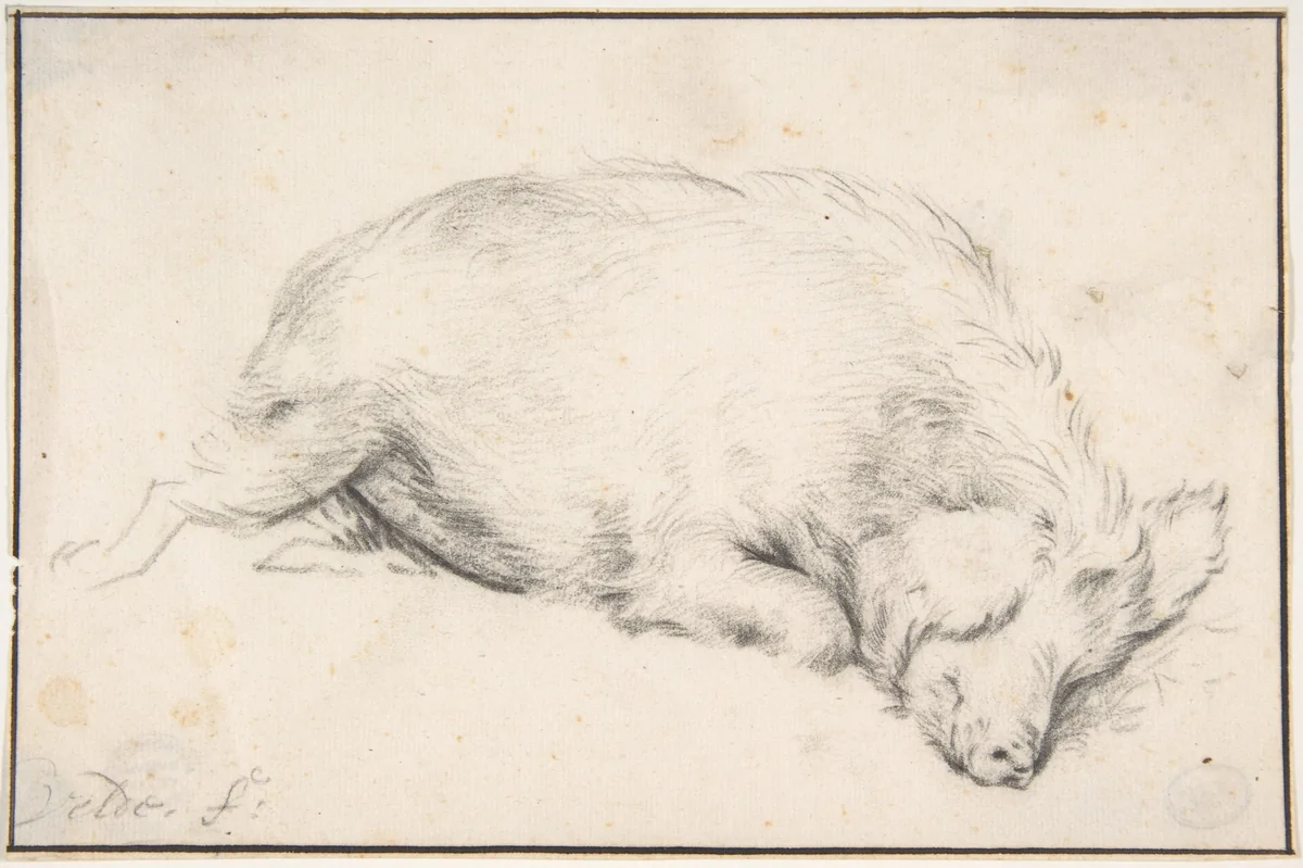 A Sleeping Swine by Adriaen van de Velde, drawing, 1650-1672