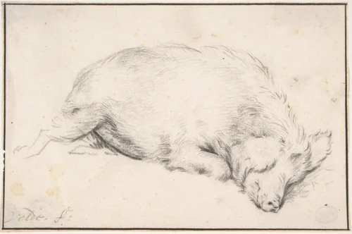 A Sleeping Swine by Adriaen van de Velde, drawing, 1650-1672