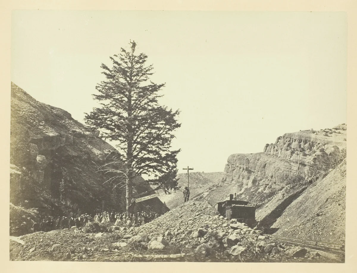 Thousand Mile Tree, Wilhelmina's Pass by Andrew J. Russell, photograph, 1868-1869