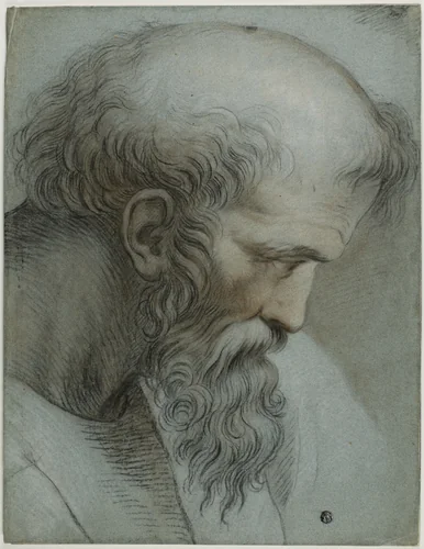 Head of Pythagoras by Raffaello Sanzio, drawing, 1700-1799