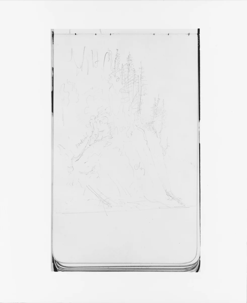 Trees on a Cliffside (from Sketchbook) by Albert Bierstadt, artwork, 1890