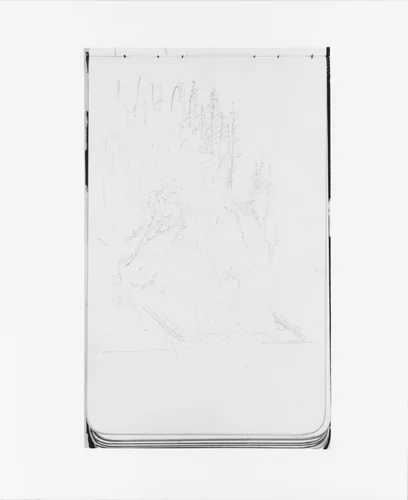 Trees on a Cliffside (from Sketchbook) by Albert Bierstadt, artwork, 1890