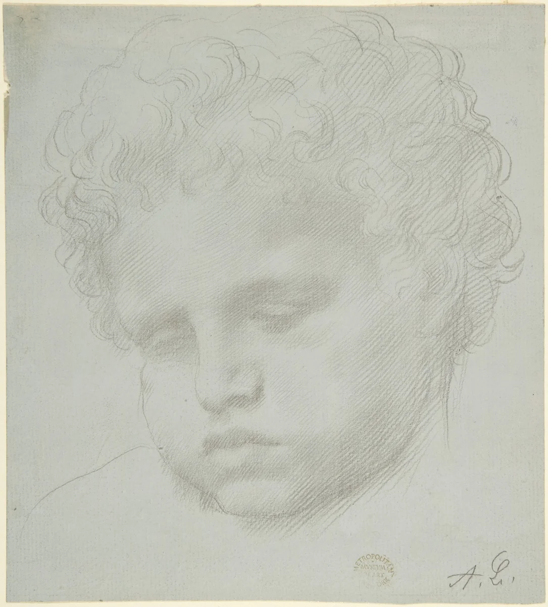 Study of a Head by Alphonse Legros, drawing, 1837-1911