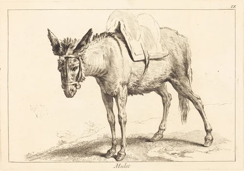Mulet (Mule or Saddled Donkey) by Jacques-Philippe Le Bas
Jean Eric Rehn
Jean-Baptiste Oudry, print, 1707-1783