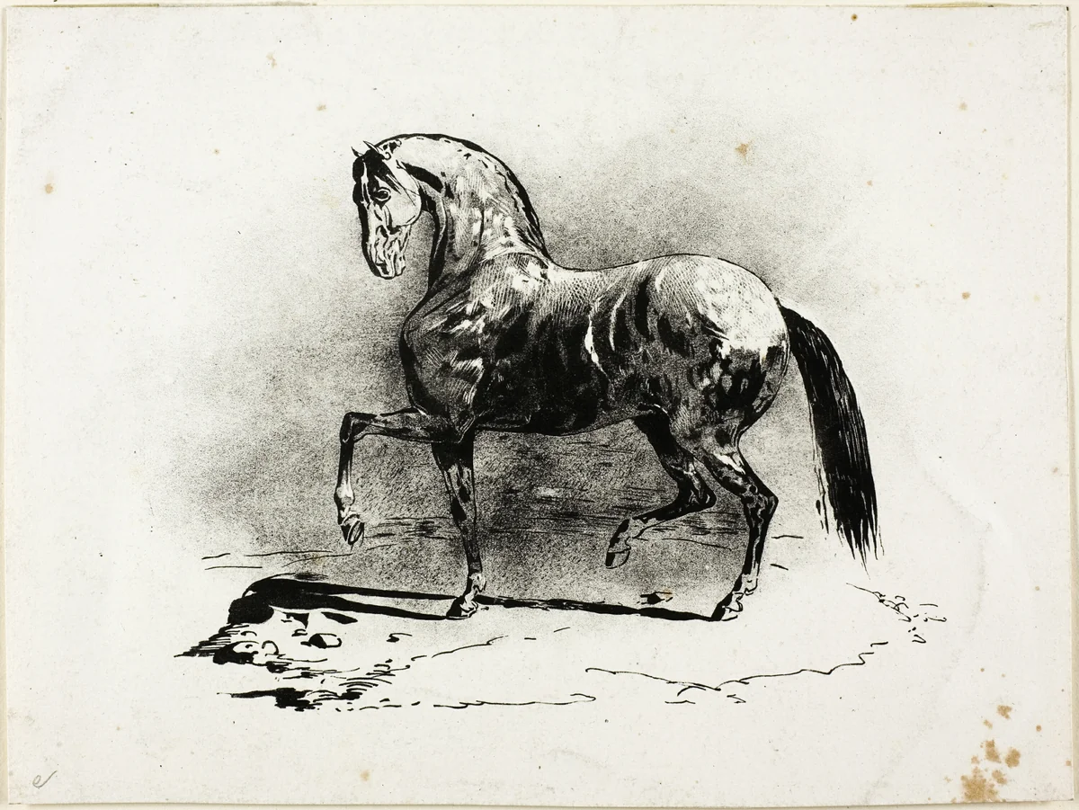 Prancing Horse by Jean Louis André Théodore Géricault, print, 1823-1926