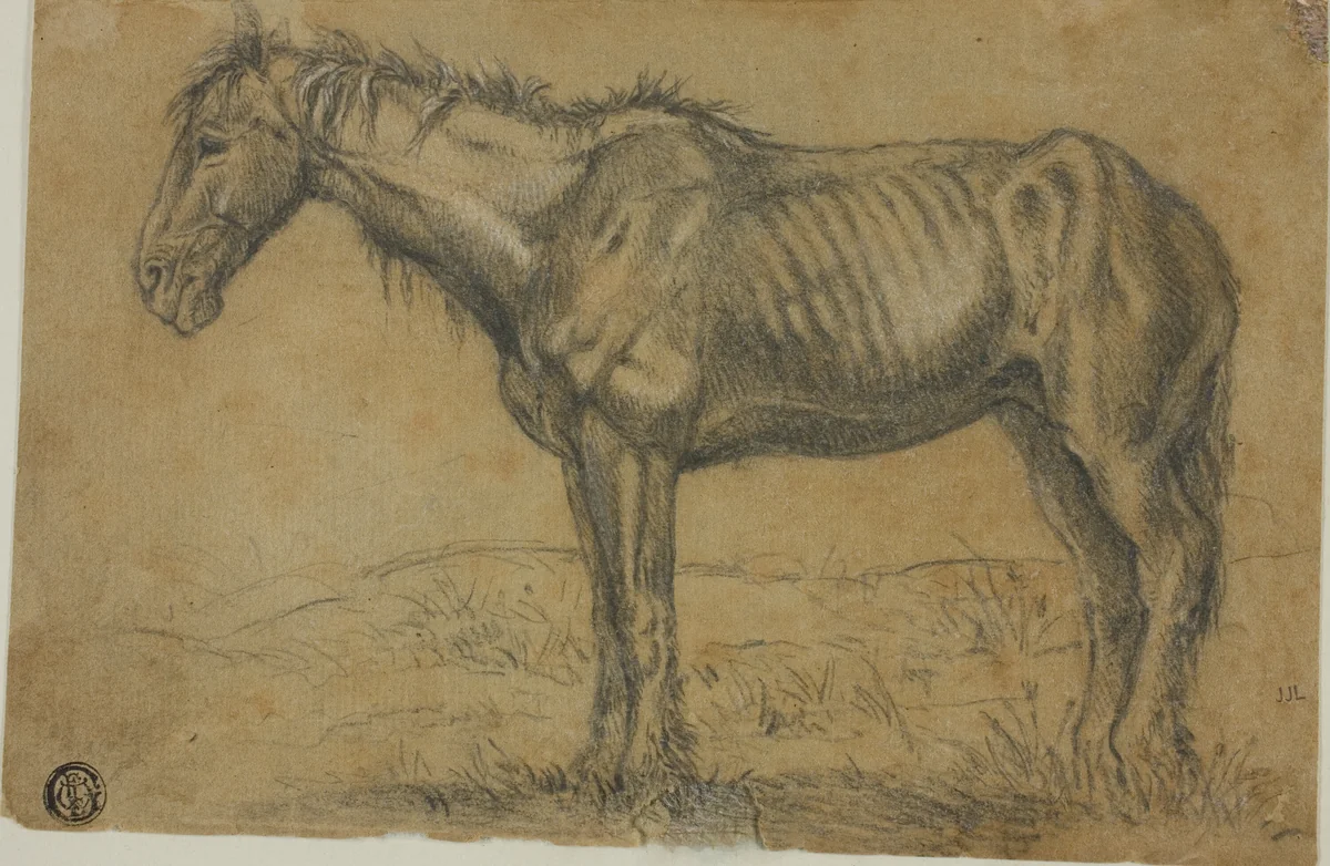 Emaciated Horse (recto); Frontal View of a Horse (verso) by Charles-Émile Jacque, drawing, 1833-1894