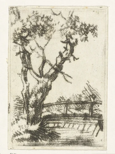 Boomstudie by Anthonie van den Bos, print, 1778-1838