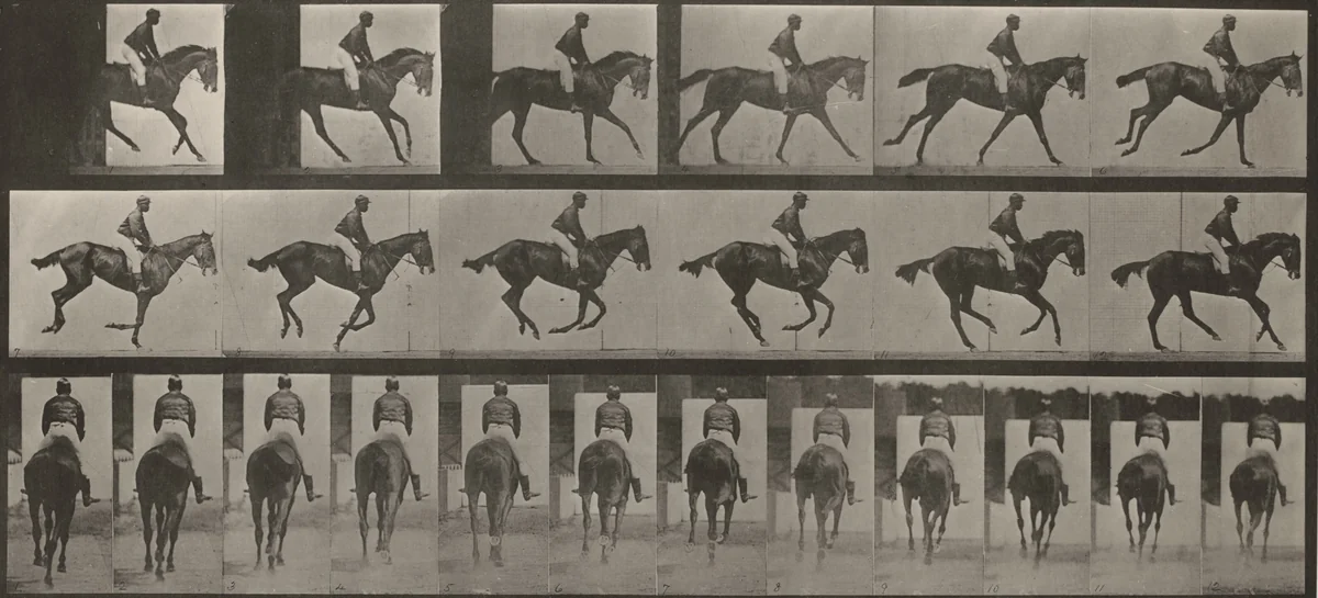 Plate Number 620. "Annie G." cantering, saddled by Eadweard Muybridge, photograph, 1887