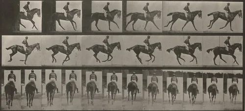Plate Number 620. "Annie G." cantering, saddled by Eadweard Muybridge, photograph, 1887