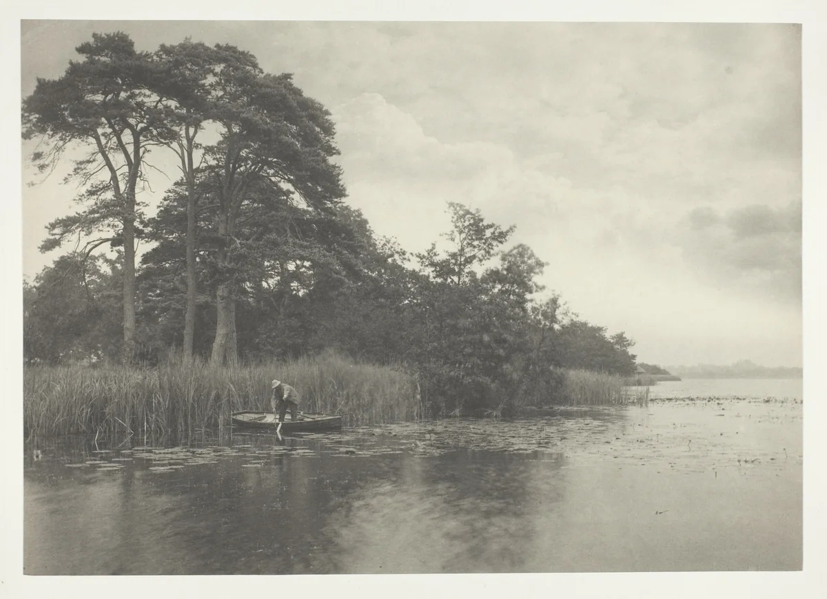 The Haunt of the Pike by Peter Henry Emerson, photograph, 1886
