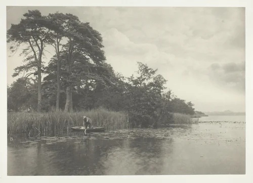 The Haunt of the Pike by Peter Henry Emerson, photograph, 1886