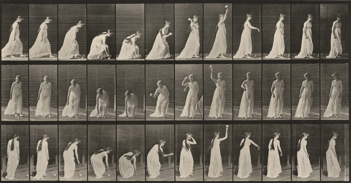 Plate Number 306. Picking up a ball and throwing it by Eadweard Muybridge, photograph, 1887
