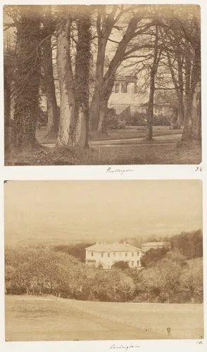 Penllergare; Coedriglan by James Knight, photograph, 1853-1856