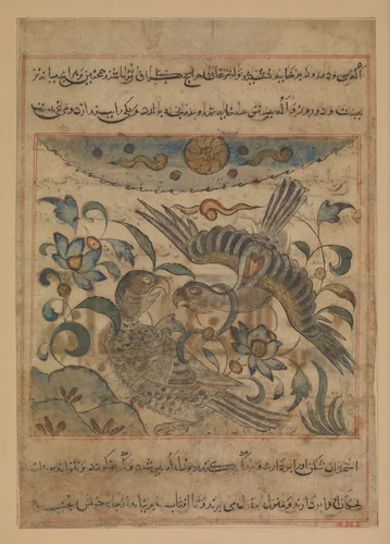 "Pair of Eagles", Folio from a Manafi' al-hayawan (On the Usefulness of Animals) of Ibn Bakhtishu' by Ibn Bakhtishu', manuscript, 1275-1325