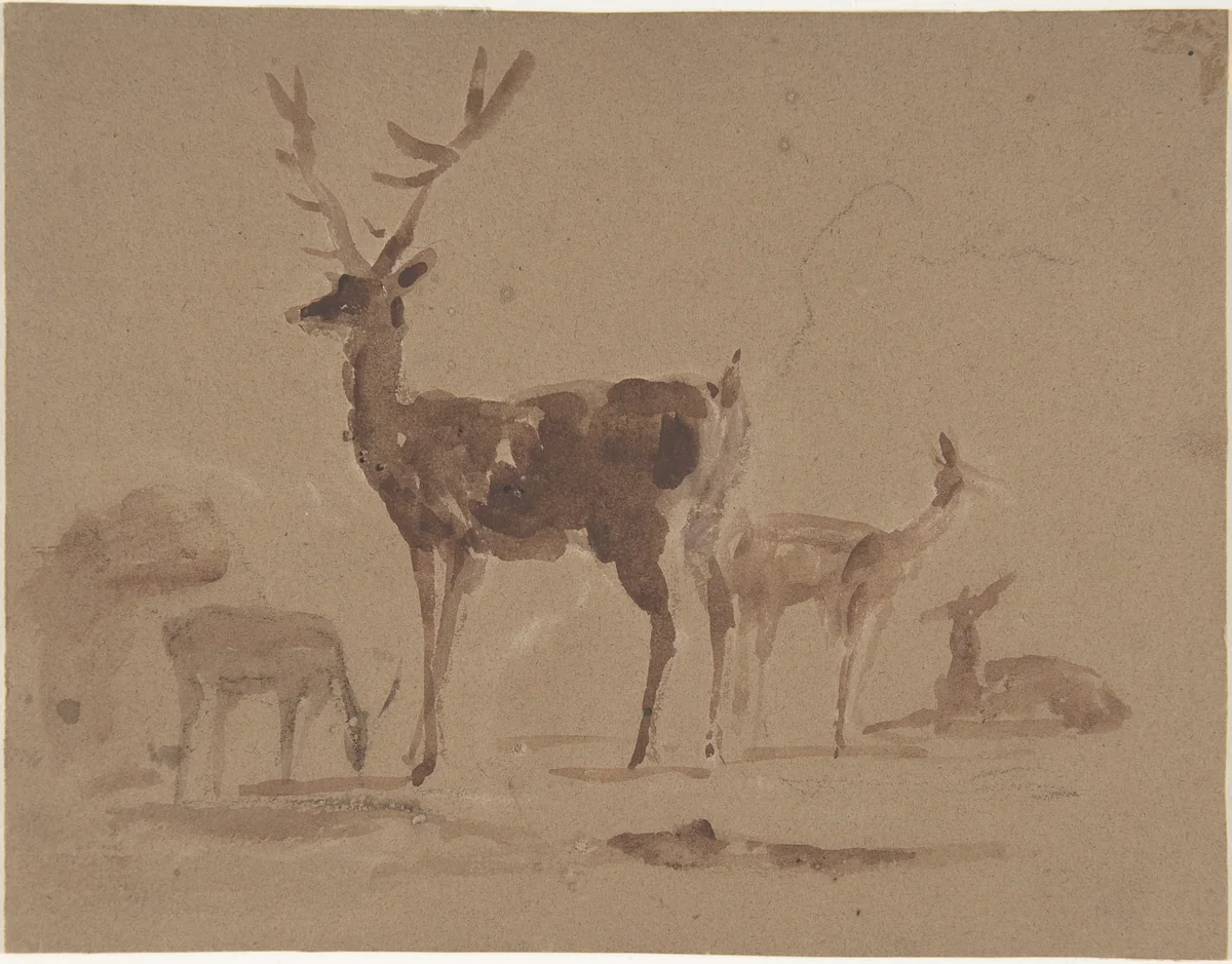 Stag and does by Edwin Henry Landseer, drawing, 1820-1873