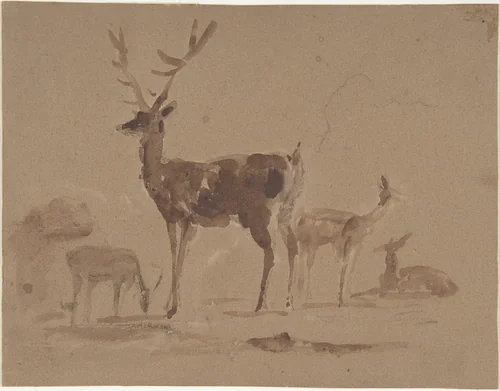 Stag and does by Edwin Henry Landseer, drawing, 1820-1873