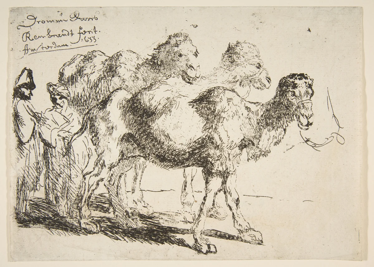 Three Dromedaries by Rembrandt van Rijn, print, 1620-1943