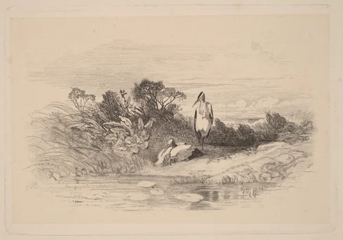 Herons by Karl Bodmer, print, 1809-1893