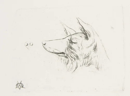 Head of a Dog from New Holland by Charles Meryon, print, 1860