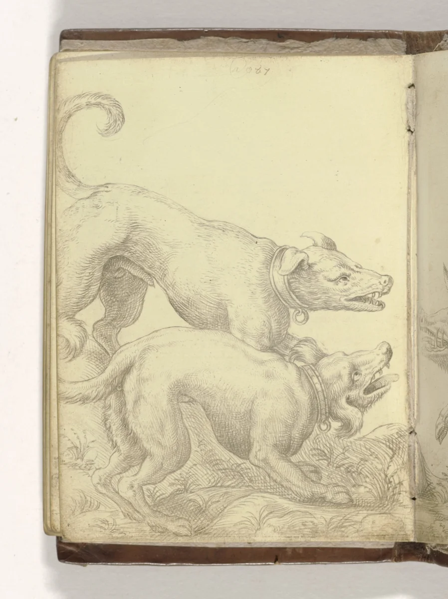 Twee honden by anonymous, drawing, 1586