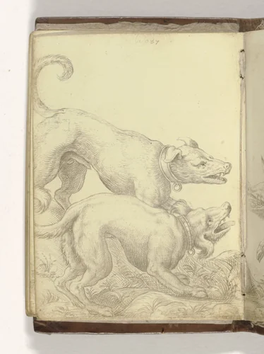 Twee honden by anonymous, drawing, 1586