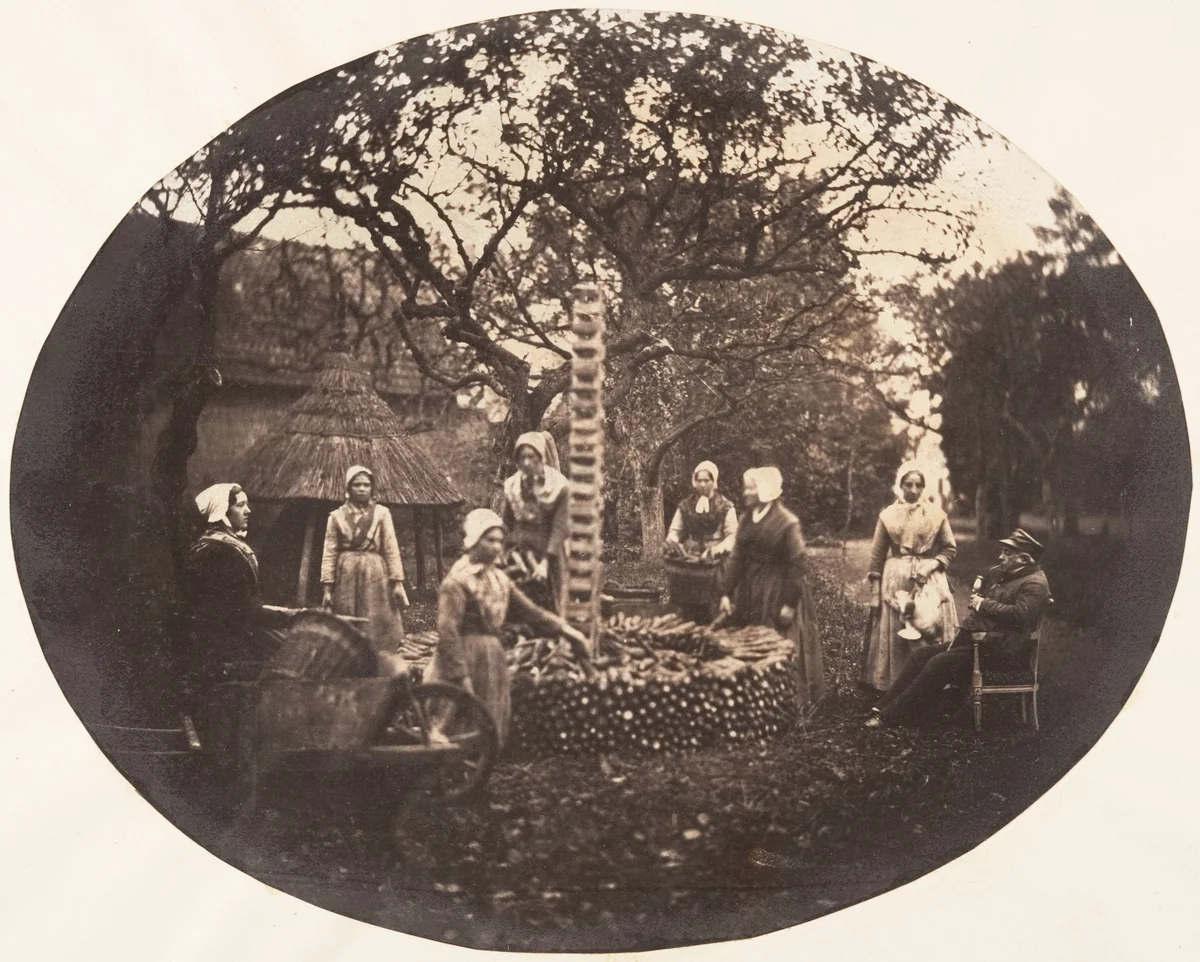 [Women Stacking Carrots] by Louis Pierre Théophile Dubois de Nehaut, photograph, 1854-1856