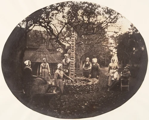 [Women Stacking Carrots] by Louis Pierre Théophile Dubois de Nehaut, photograph, 1854-1856