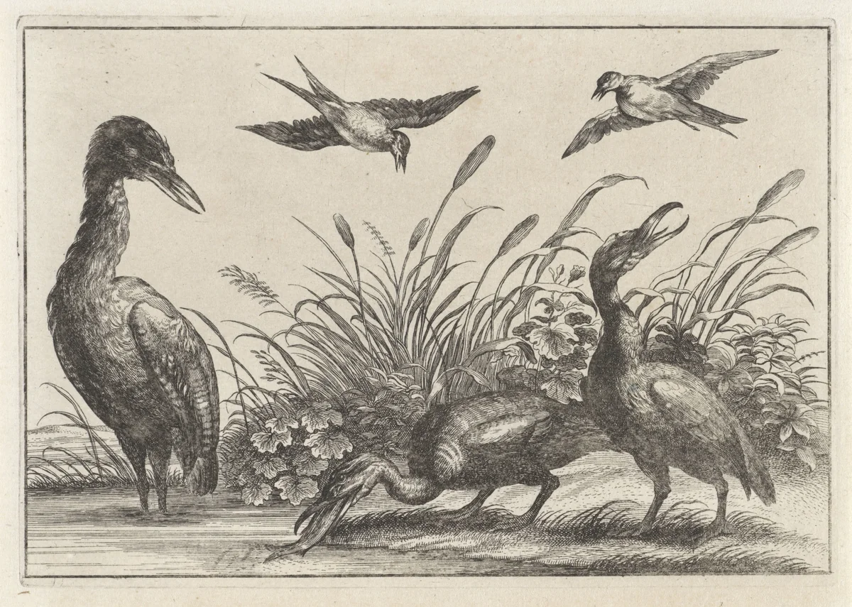 Reigers en zwaluwen by anonymous, print, 1654-1750