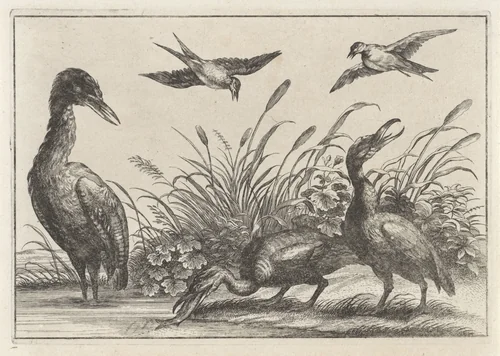 Reigers en zwaluwen by anonymous, print, 1654-1750