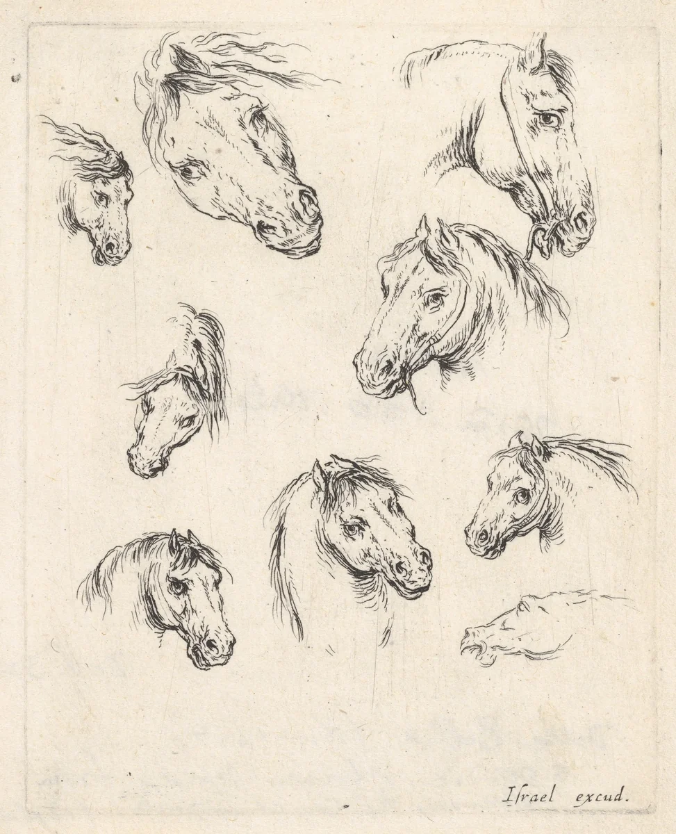 Plate 17: nine studies of horse heads, from "Various heads and figures" (Diverses têtes et figures) by Stefano della Bella, print, 1650