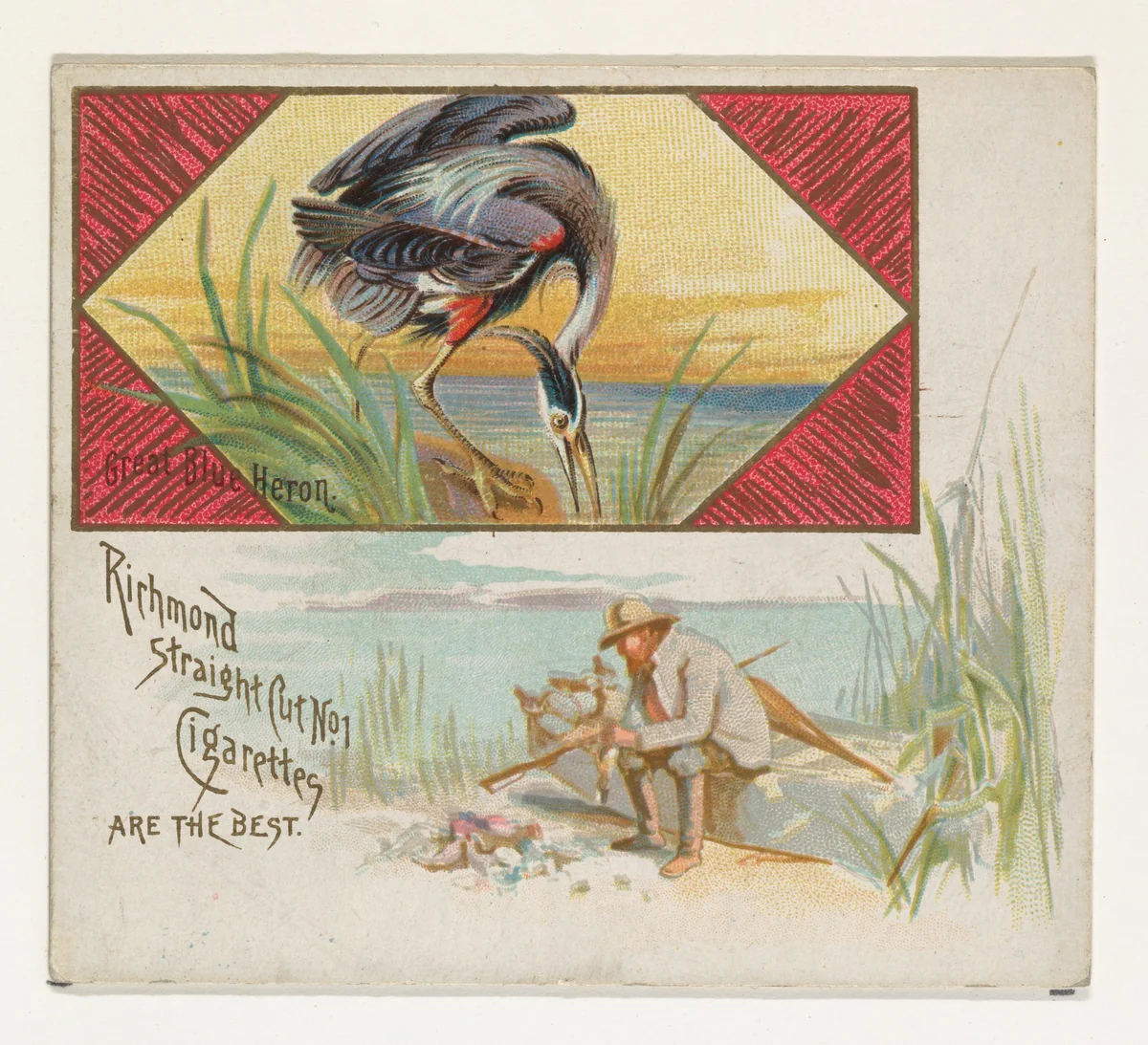 Great Blue Heron, from the Game Birds series (N40) for Allen & Ginter Cigarettes by Allen & Ginter, print, 1888-1890