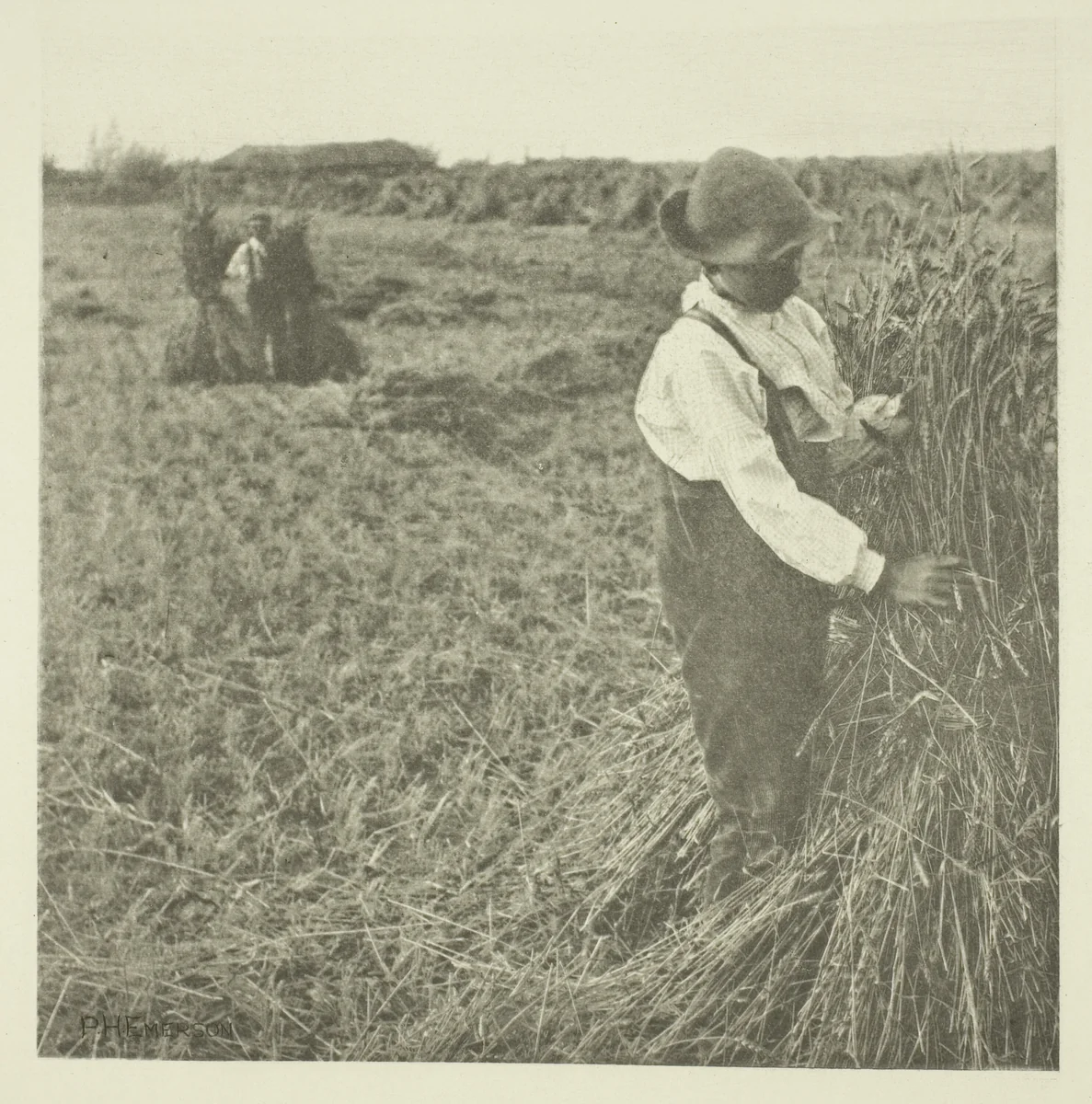 Shocking Corn (Norfolk) by Peter Henry Emerson, print, 1883-1887