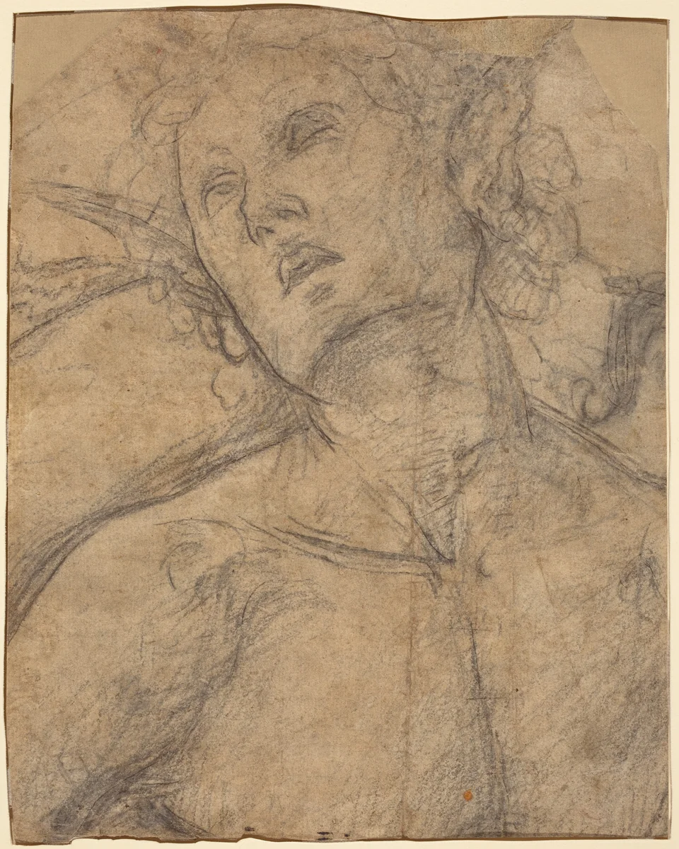 Bust of a Youth Looking Upward [recto] by Luca Signorelli, drawing, 1500