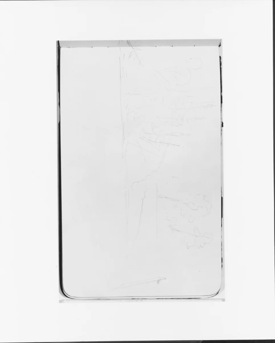 Landscape Sketch with Trees (from Sketchbook) by Albert Bierstadt, artwork, 1890