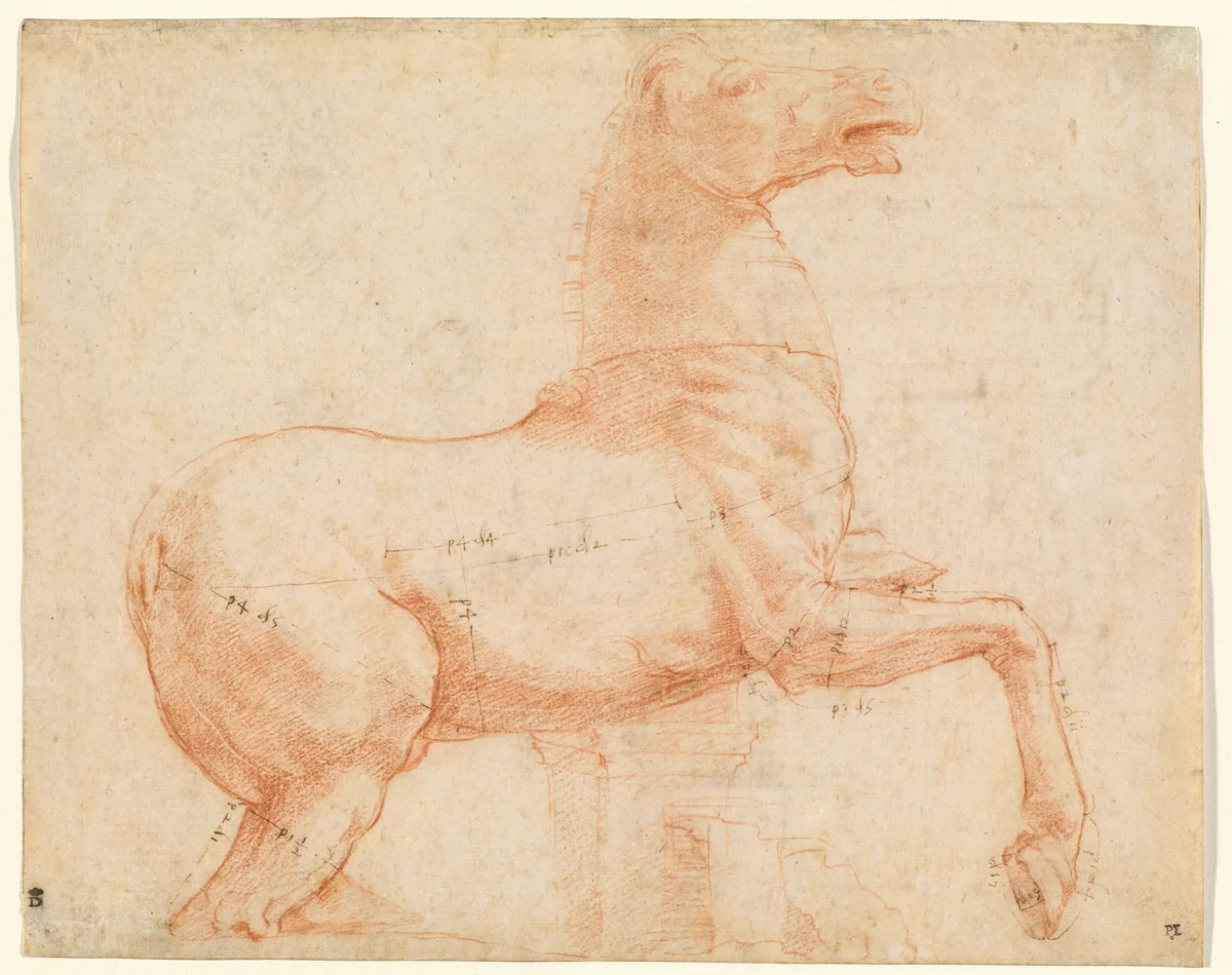 A Marble Horse on the Quirinal Hill [recto] by Raphael, drawing, 1513
