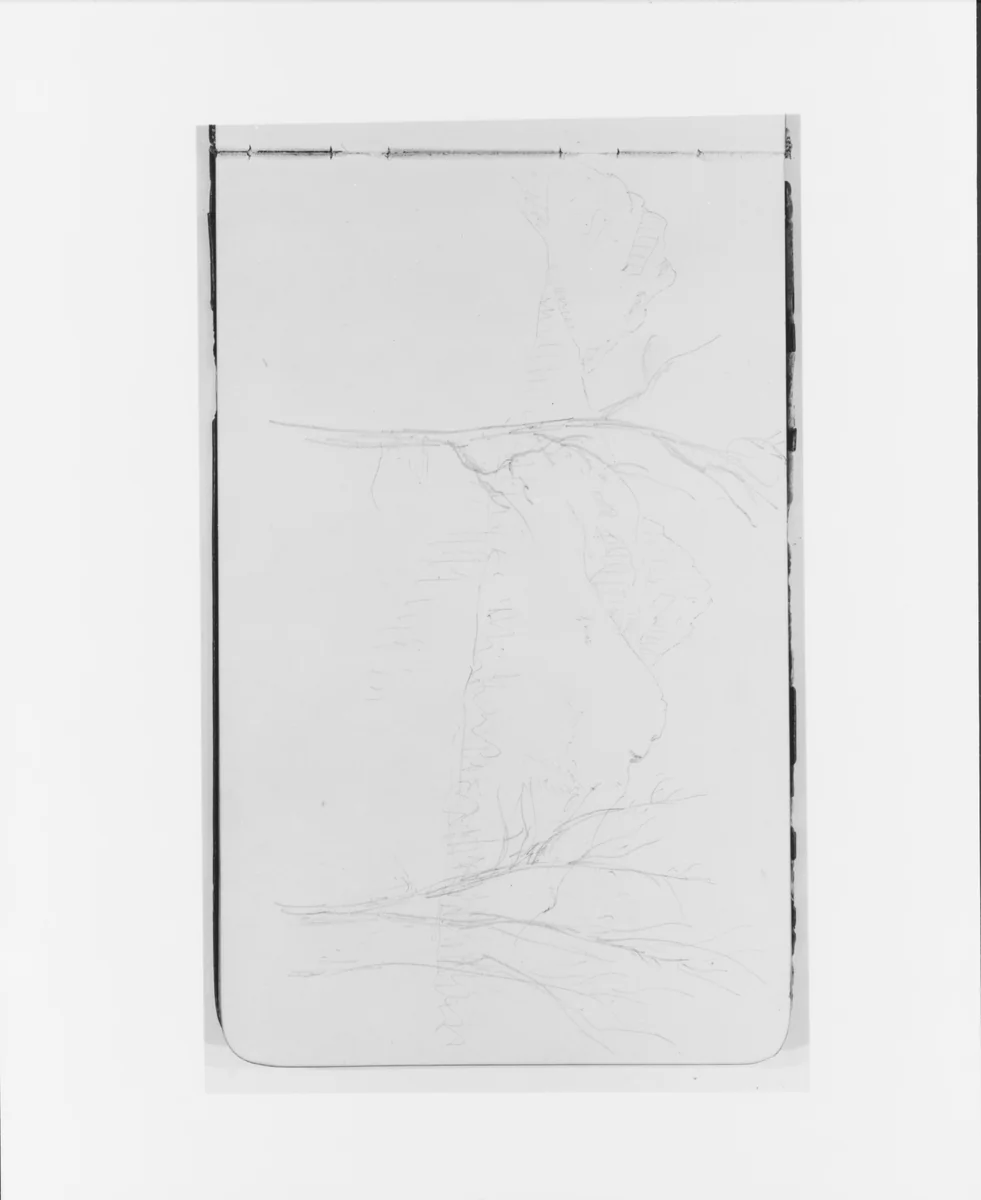 Mountain Landscape with Trees (from Sketchbook) by Albert Bierstadt, artwork, 1890