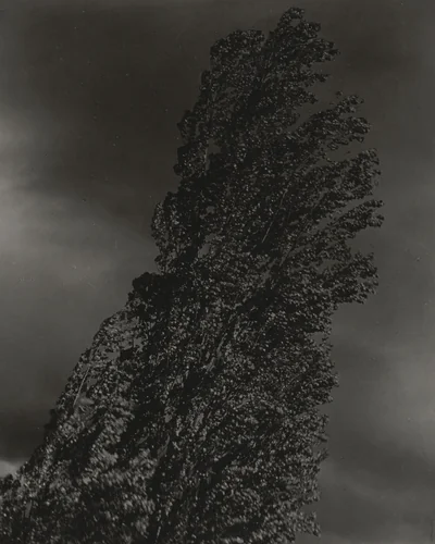 Equivalent by Alfred Stieglitz, photograph, 1927