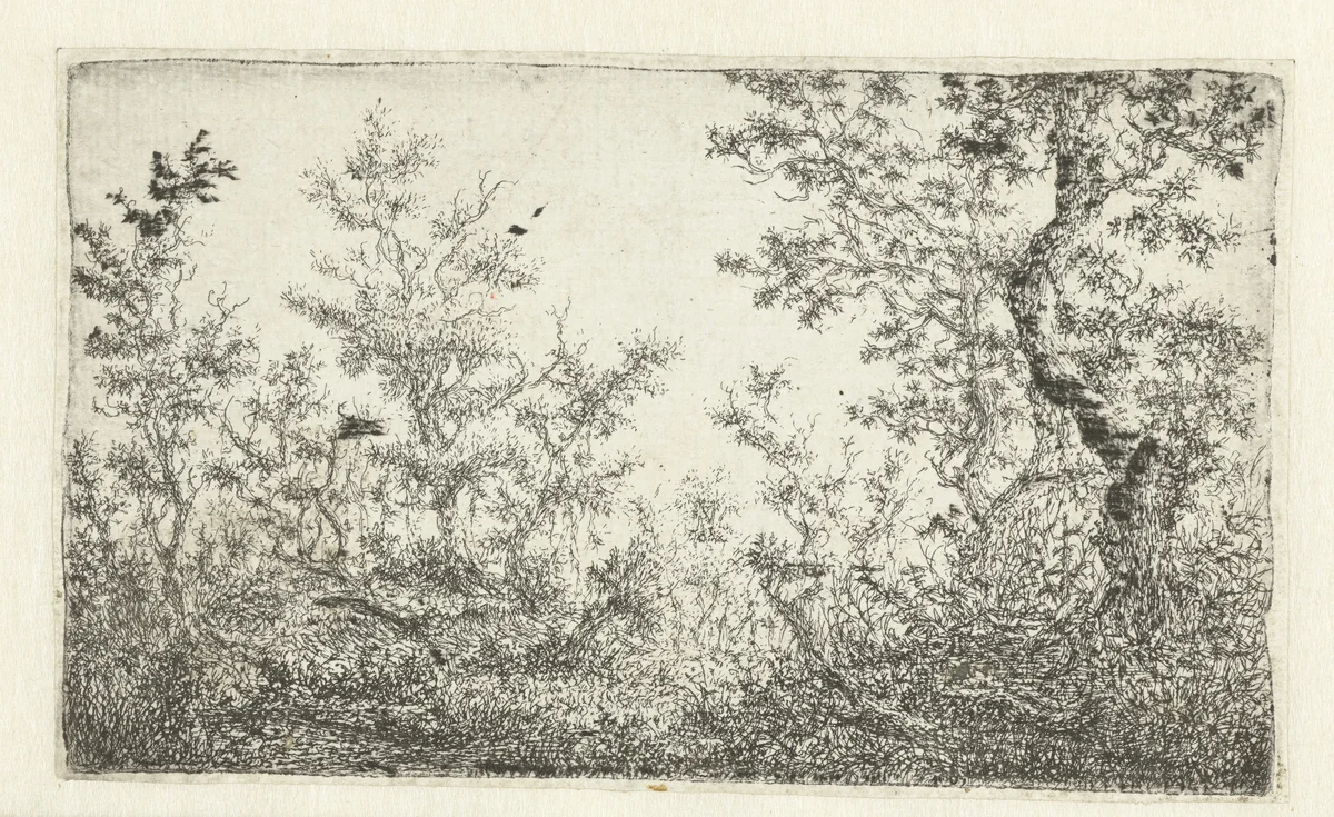 Open plek in het bos by Claes van Beresteyn, print, 1637-1684